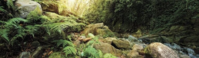 61tFpRvD5L. AC SL1342 Publi Home