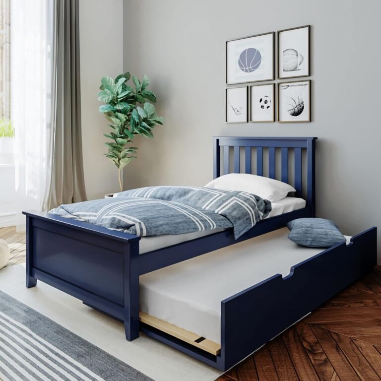 Product Reviews 8 81sekeCvcsL. AC SL1500 Publi Home