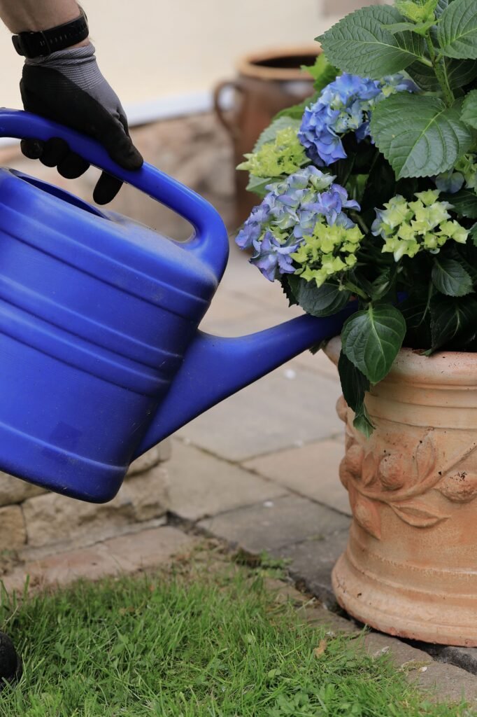Self Watering Planter Box: 7 Best Ways to Save Water (Proven Guide) 2 pexels christina99999 37397030 Publi Home